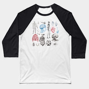 Anatomy Illustrations Vintage Pattern Baseball T-Shirt